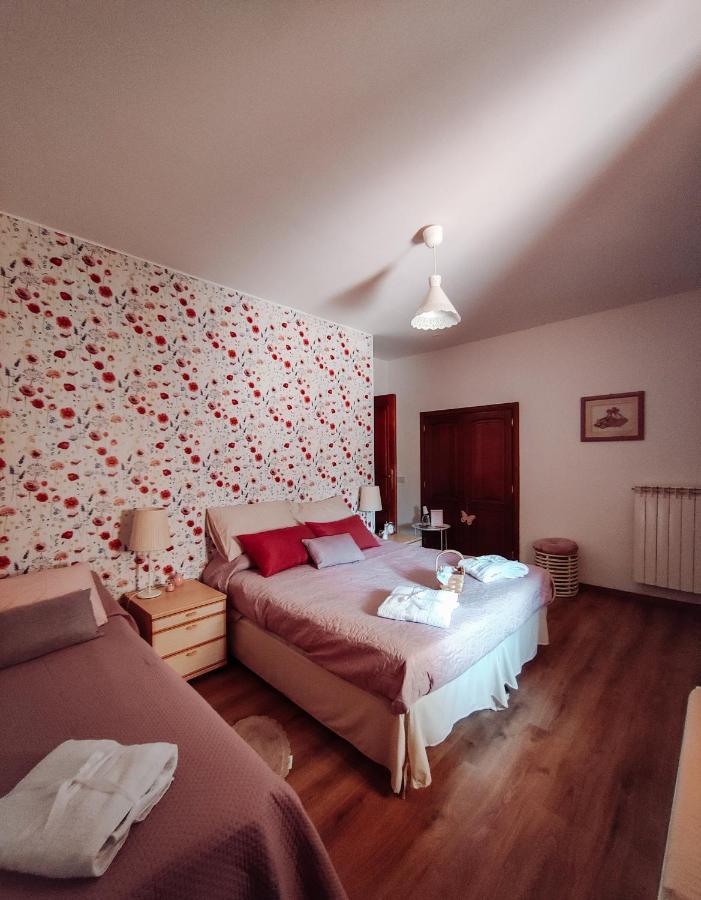 Bed and Breakfast Casale Dei Ricordi Arce Exteriér fotografie