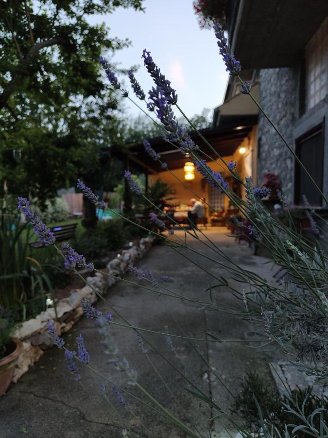 Bed and Breakfast Casale Dei Ricordi Arce Exteriér fotografie