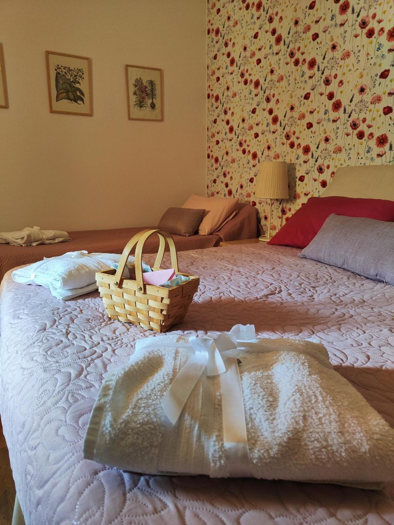 Bed and Breakfast Casale Dei Ricordi Arce Exteriér fotografie