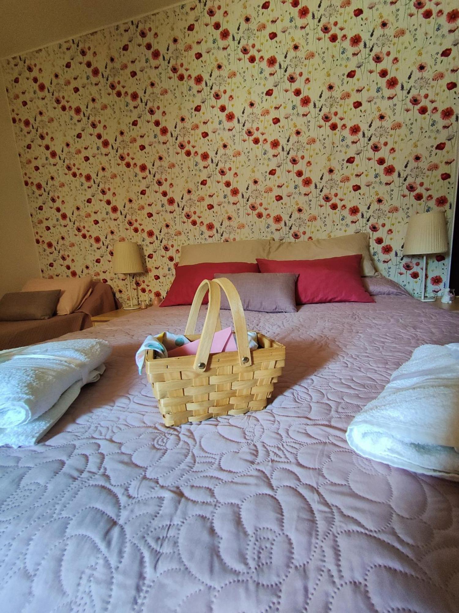Bed and Breakfast Casale Dei Ricordi Arce Exteriér fotografie